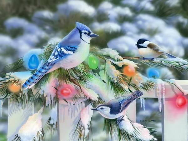 53127-Birds-At-Christmas-.jpg