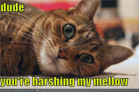 harsh-my-mellow.jpeg