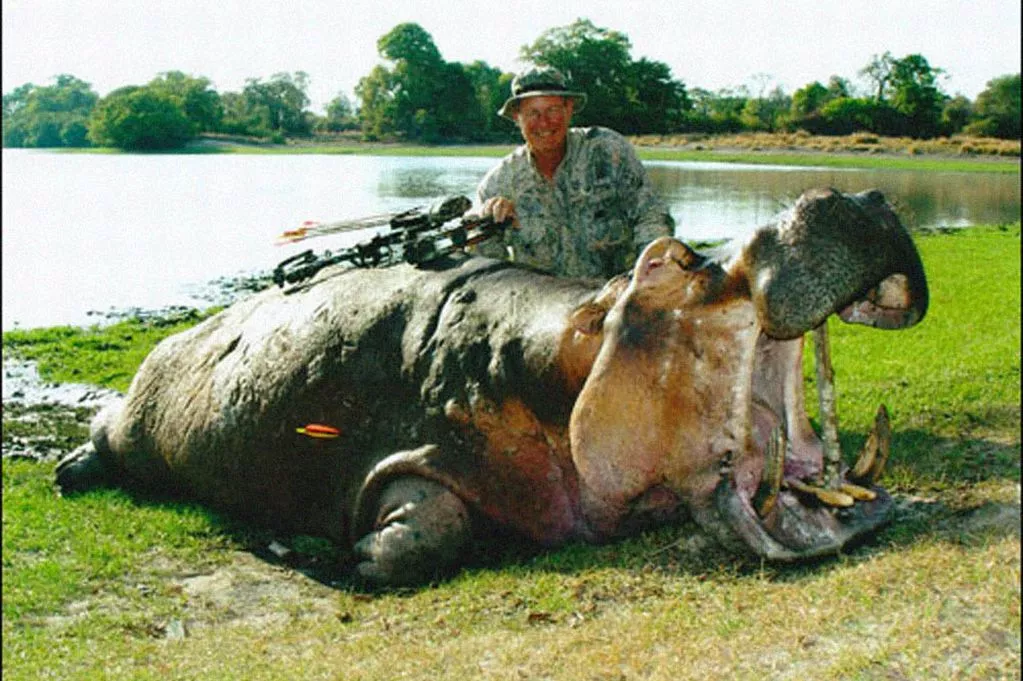 jan_seski_ashby_hippo.jpg