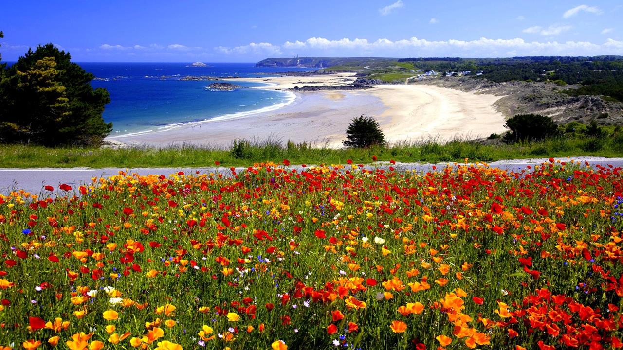 358702,xcitefun-colorful-nature-3.jpg