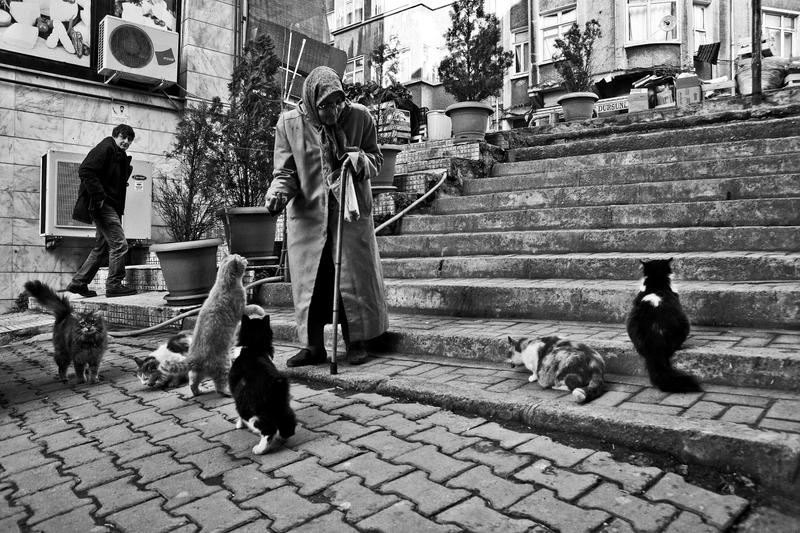 Old_woman_and_cats_2_by_emregurten.jpg