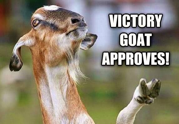 victory-goat-approves-goat-meme.jpg
