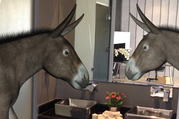 268876000006185125_zc_v3_mirrordonkey.png