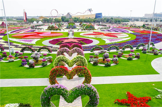 Dubai_Miracle_Garden_220220133112.png