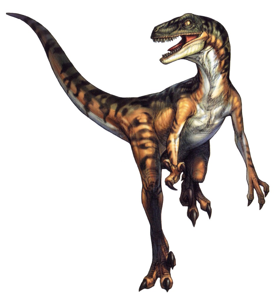 Velociraptor.JPG