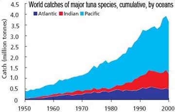 tuna_1950-2000.jpg