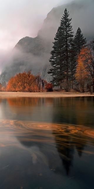 Yosemite-Natinal-Park-California.jpg