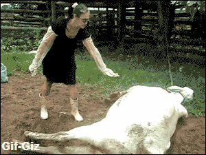 vCzrGbi.gif
