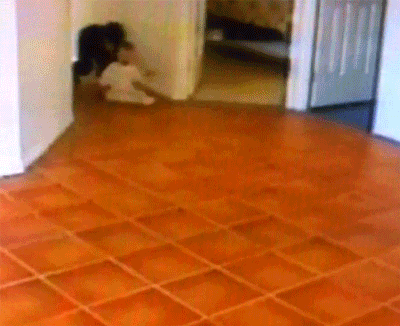 8kaXvwy.gif