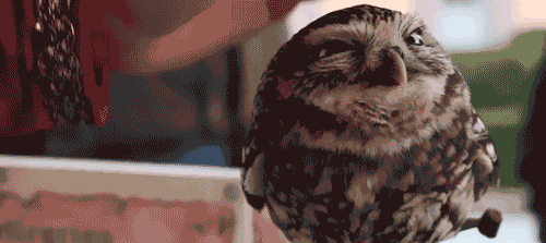 7VJ7ZMz.gif