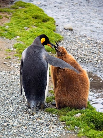 photography.nationalgeographic.jpeg