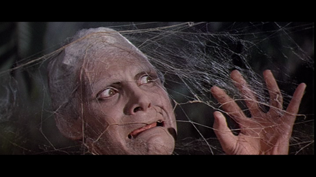 thefly02.png