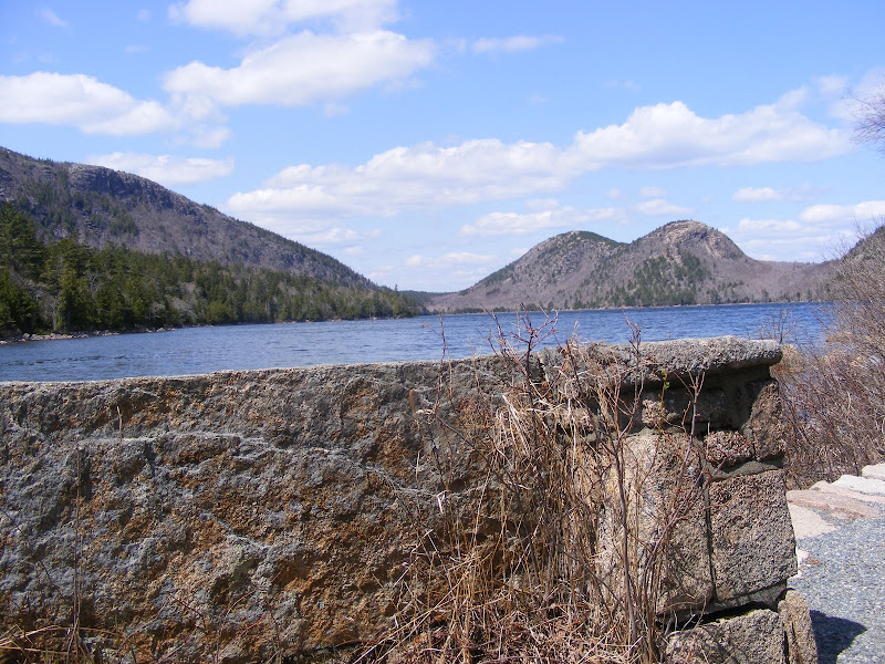 DSCF0256.jpg