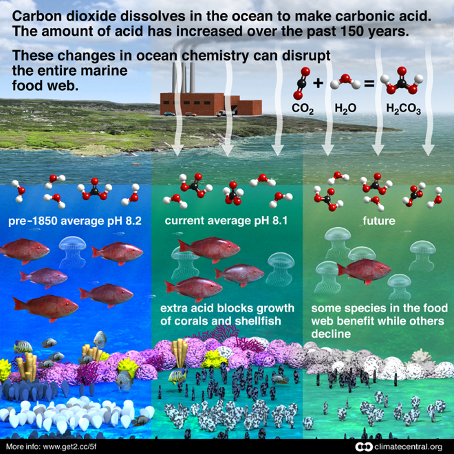 graphics_oceanacidification.jpg