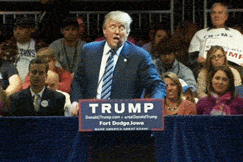 6d3b9fe396.gif