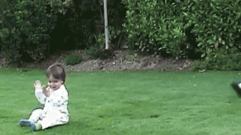 PIPqurL.gif
