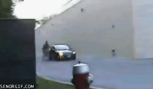 fencesaregreatbrakesp1.gif~original