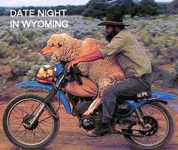 Dating-in-Wyoming.jpg