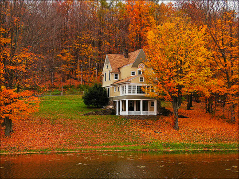 -Autumn-autumn-32320341-800-600.jpg