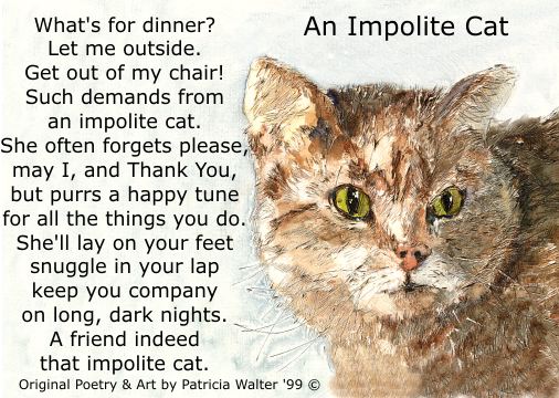 impolitecat.jpg