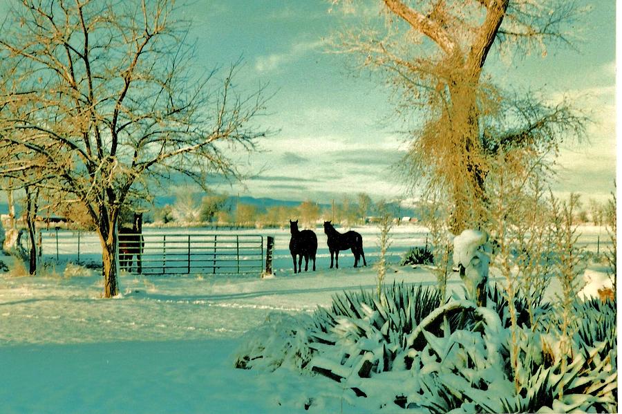 colorful-western-snow-scene-diana-dearen.jpg
