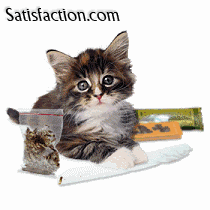 ty0106THANKYOU.gif
