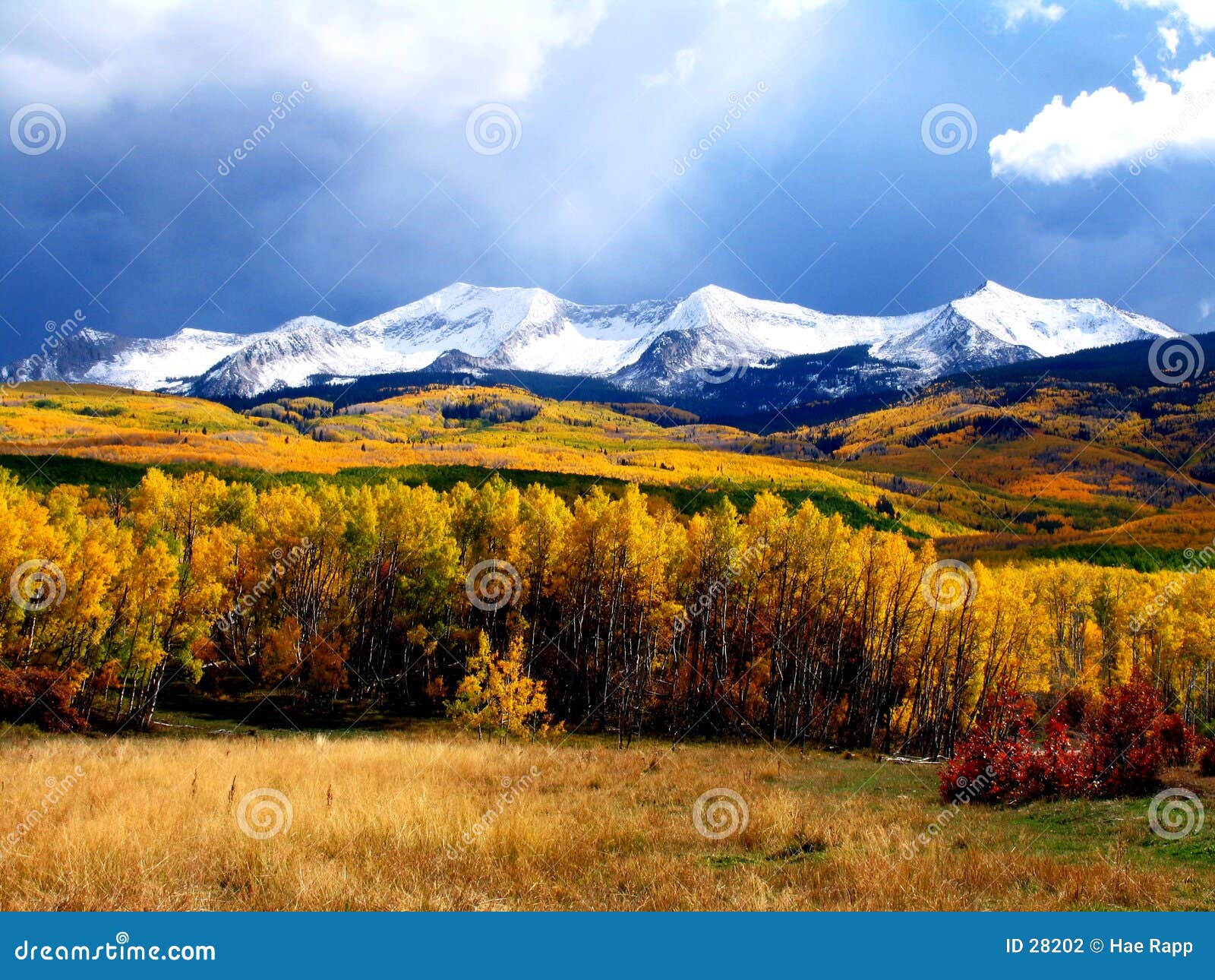 fall-mountains-28202.jpg
