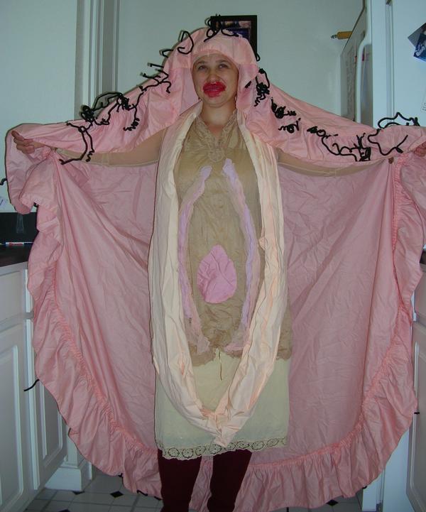vagina-costume.jpg