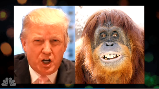 trum-orangutan.png