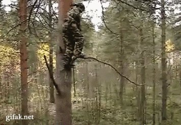 %25D1%2588.gif