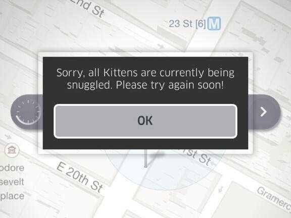 kittens.jpg