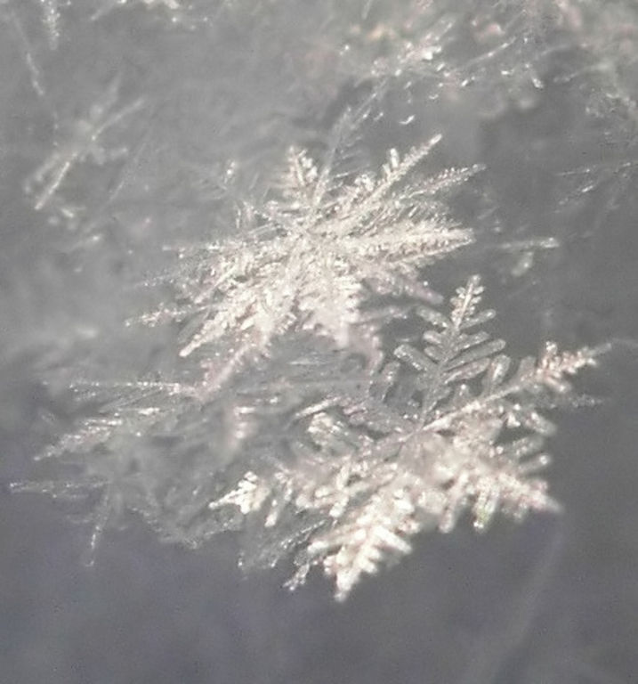 snow.jpg