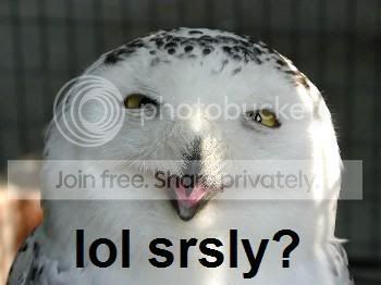 lol-srsly.jpg