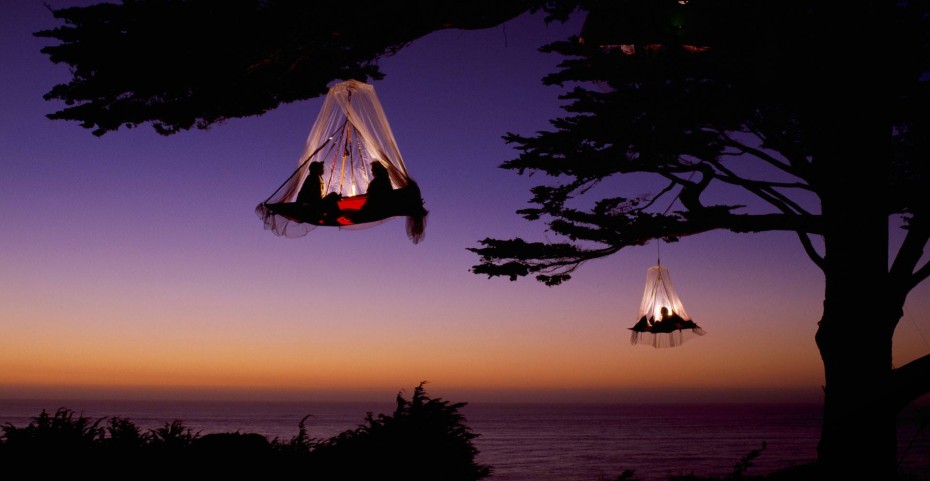 treecamping-930x481.jpg