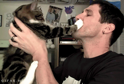 gif-king-1c8041cacb1eefa39c13412a3f3e5feb.gif