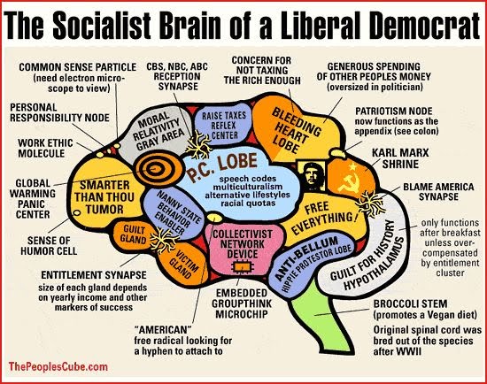 liberal-brain.bmp