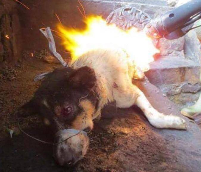 yulin1.jpg