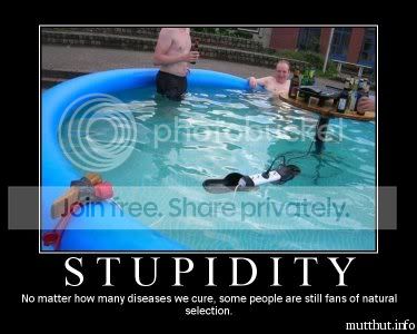 stupidity.jpg