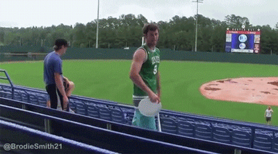 84434329.gif