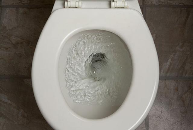 Toilet-Flushing.jpg