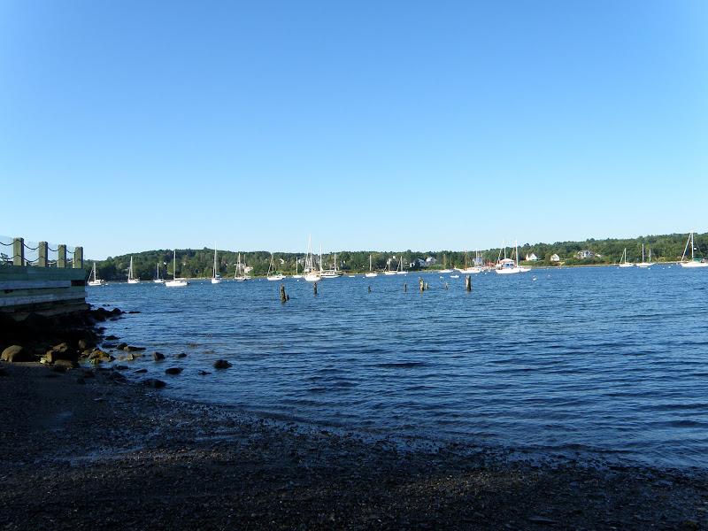 P8285308.JPG