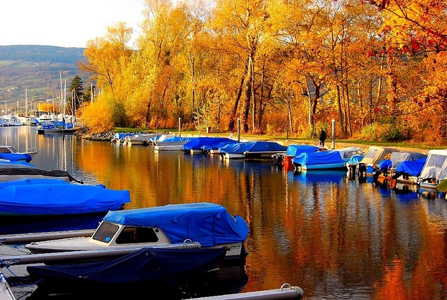 colorfulnature-3.jpg