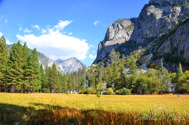 kings-canyon-04.jpg