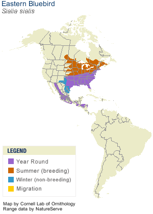 sial_sial_AllAm_map.gif