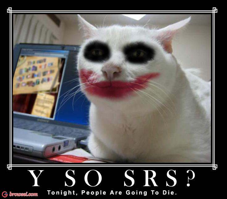 why-so-serious-cat.jpg