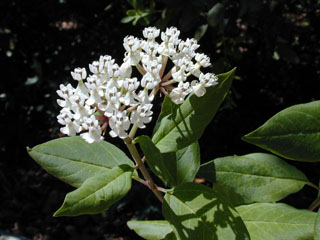 6151_IMG02386.JPG
