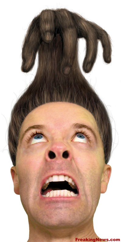 funny+hair+6.jpg