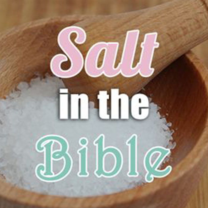thebiblicalnutritionist.com