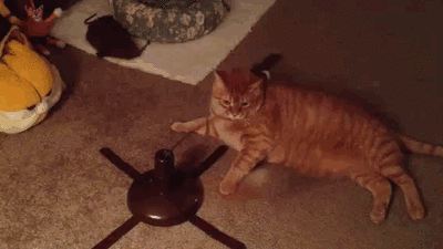 5f3.gif