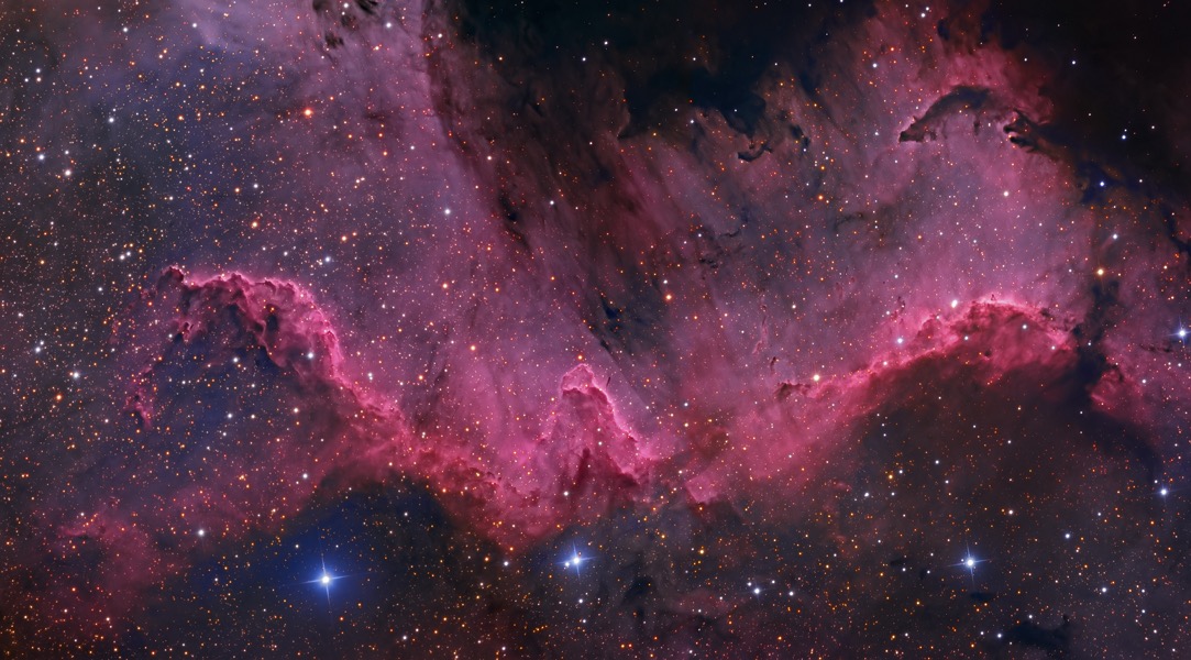 CygnusWallWalker600.jpg
